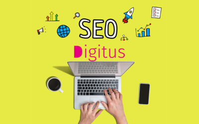 ¿En qué me puede ayudar una agencia de posicionamiento SEO?